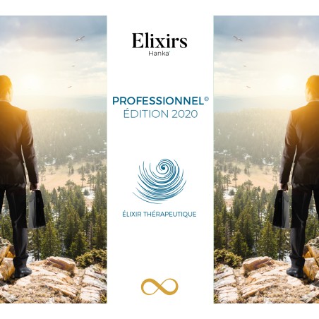 Elixir : Evolutions Professionnelles