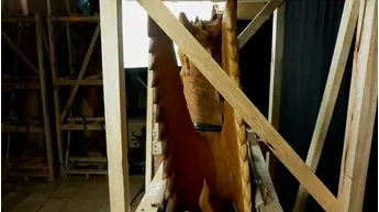 Grand dragon béni sculpté en bois de suar, détail complémentaire n°6