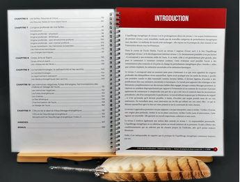 Pages intérieures du manuel de niveau 2
