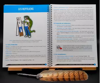 Schémas pratiques du manuel de niveau 1