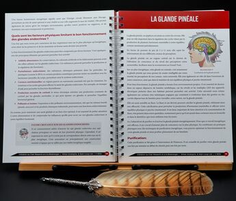 Chapitre Clair Ressenti du manuel Hanka