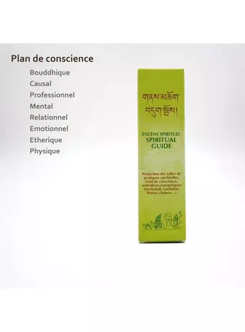 Plongez sereinement dans une méditation profonde avec notre encens Spiritual Guide Hanka pour votre pratique quotidienne.