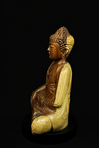 Bouddha béni de l’Éveil, profil droit