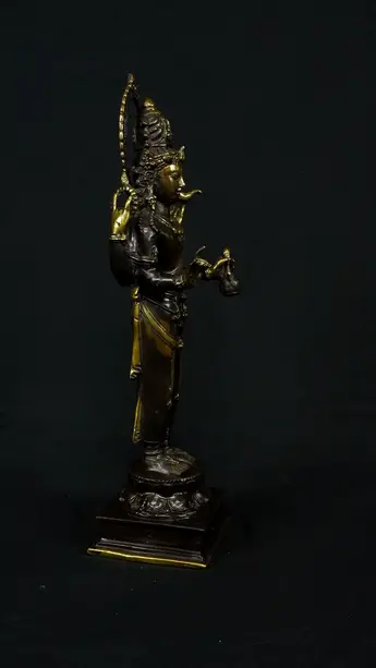 Gardien sacré de la sagesse, profil gauche