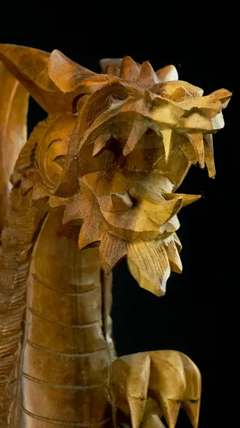 Détail de la tête du Dragon béni n°1