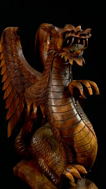 Dragon béni n°2 en bois de suar, vue latérale