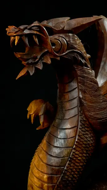 Détail de la tête du Dragon béni n°3