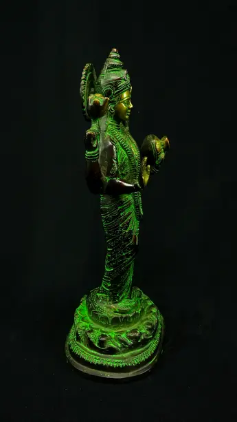 Dhanvantari béni, profil droit