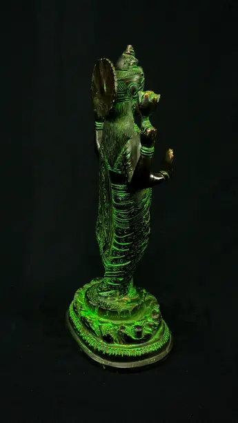 Dhanvantari béni, vue arrière