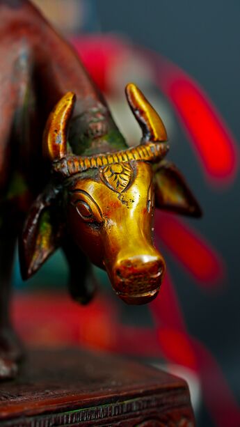 Détail de la vache auprès de Krishna