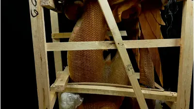 Grand dragon béni sculpté en bois de suar, détail complémentaire n°4