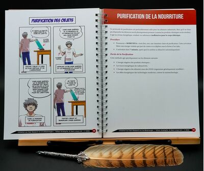 Schémas pratiques d’initiation à la bioénergie