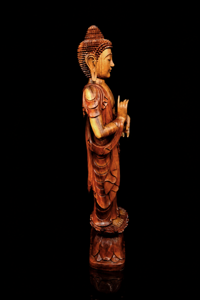 Bouddha béni de l’Enseignement en bois de suar, profil gauche