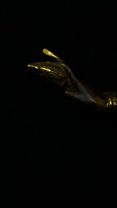 Détail d’une main du prêtre ou saint béni