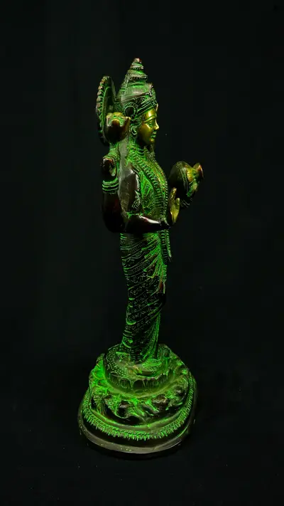 Dhanvantari béni, profil droit