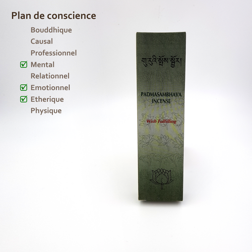 Purifie les entités avec l'encens sacré Padmasambhava Hanka