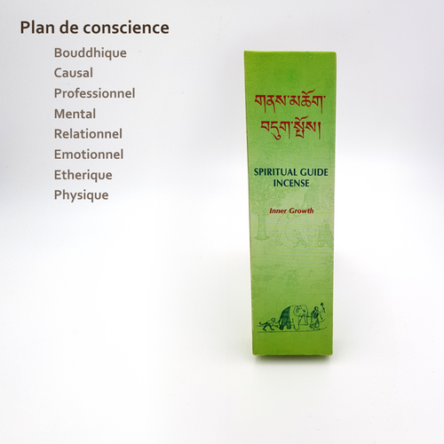 Plongez sereinement dans une méditation profonde avec notre encens Spiritual Guide Hanka pour votre pratique quotidienne.